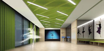 线下有欢乐大舞台，线上有数字馆 公共文化服务的“平湖样本”