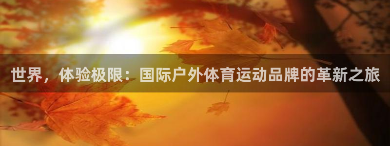 v66体育彩票平台存在多久了：世界，体验极限：国际户外体育运动品牌的革新之旅