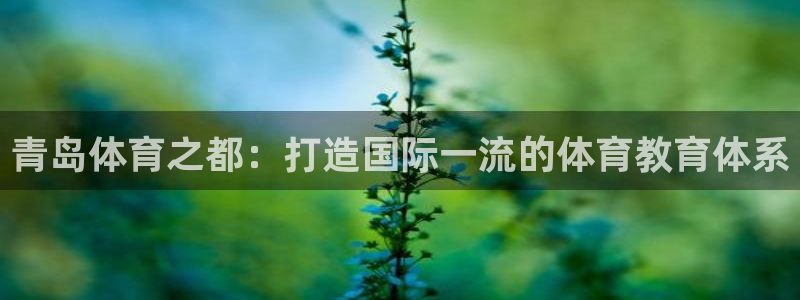 v66体育官网入口：青岛体育之都：打造国际一流的体育教育体系