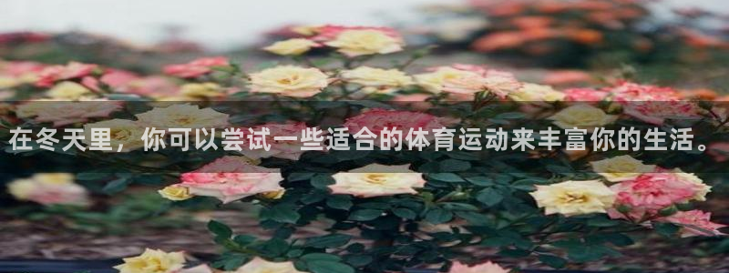 v66体育彩票平台能提现吗：在冬天里，你可以尝试一些适合的体育运动来丰富你的生活。