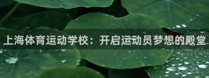 v66体育彩票平台能提现吗