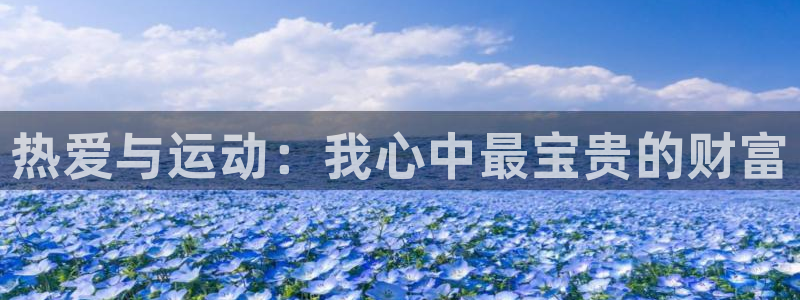 v66体育