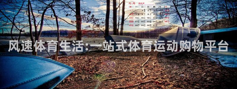 v66体育官网入口：风速体育生活:一站式体育运动购物平台